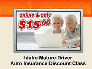 Idaho Mature Defensive Driving Classes