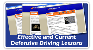 Fleet Driver Safety Driving Safety Course