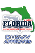 Florida Senior Driver Course