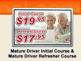 Mature Defensive Driving Classes